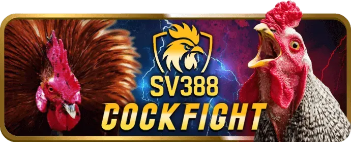 Ưu đãi chào mừng co88 code