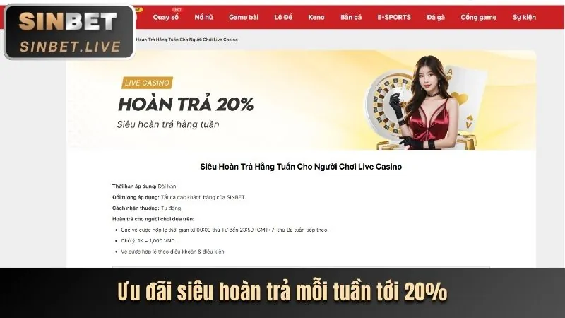 Cập nhật các chương trình khuyến mãi CO88 Code mới nhất